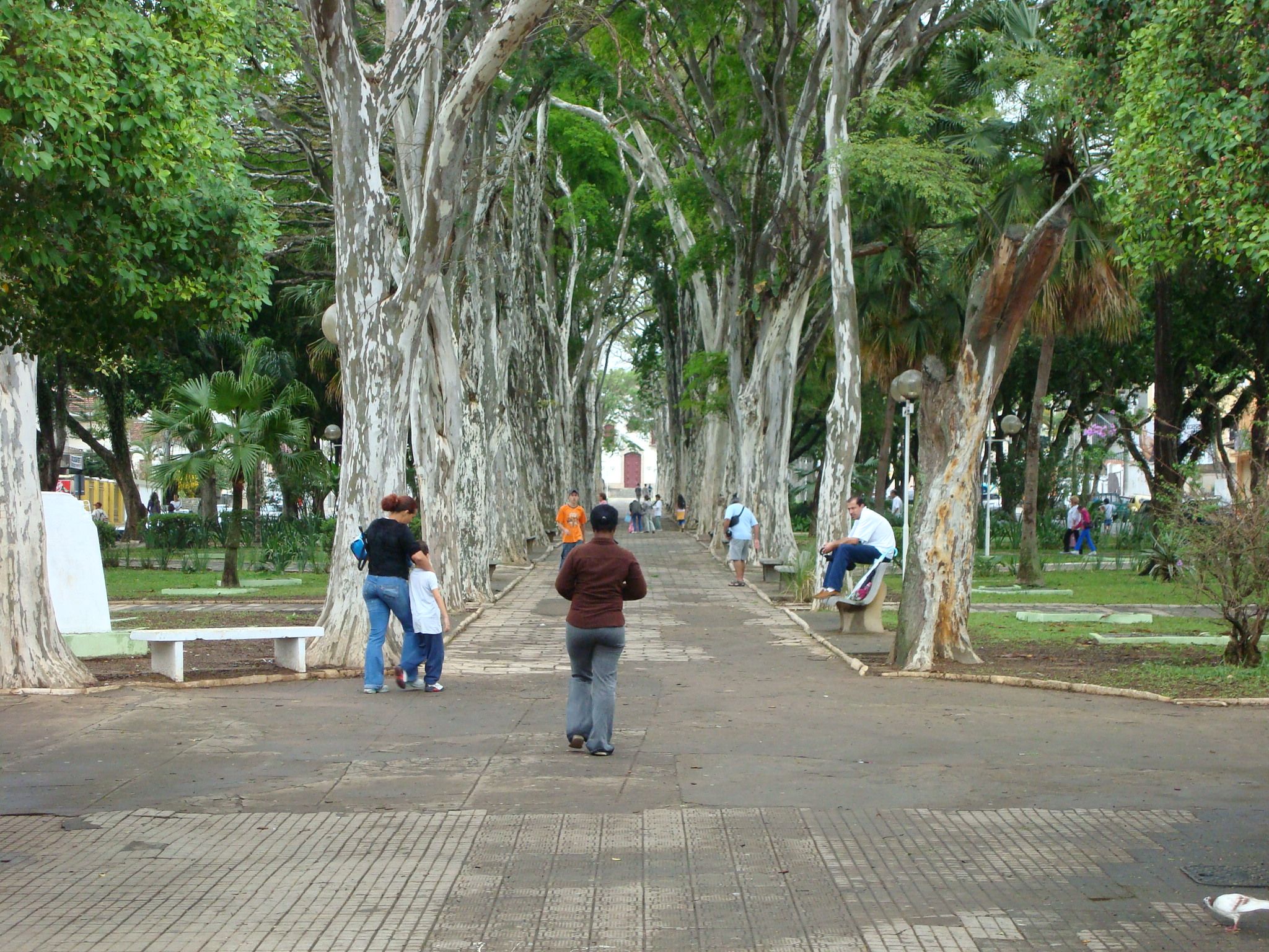 Cartão Postal de Campo Belo