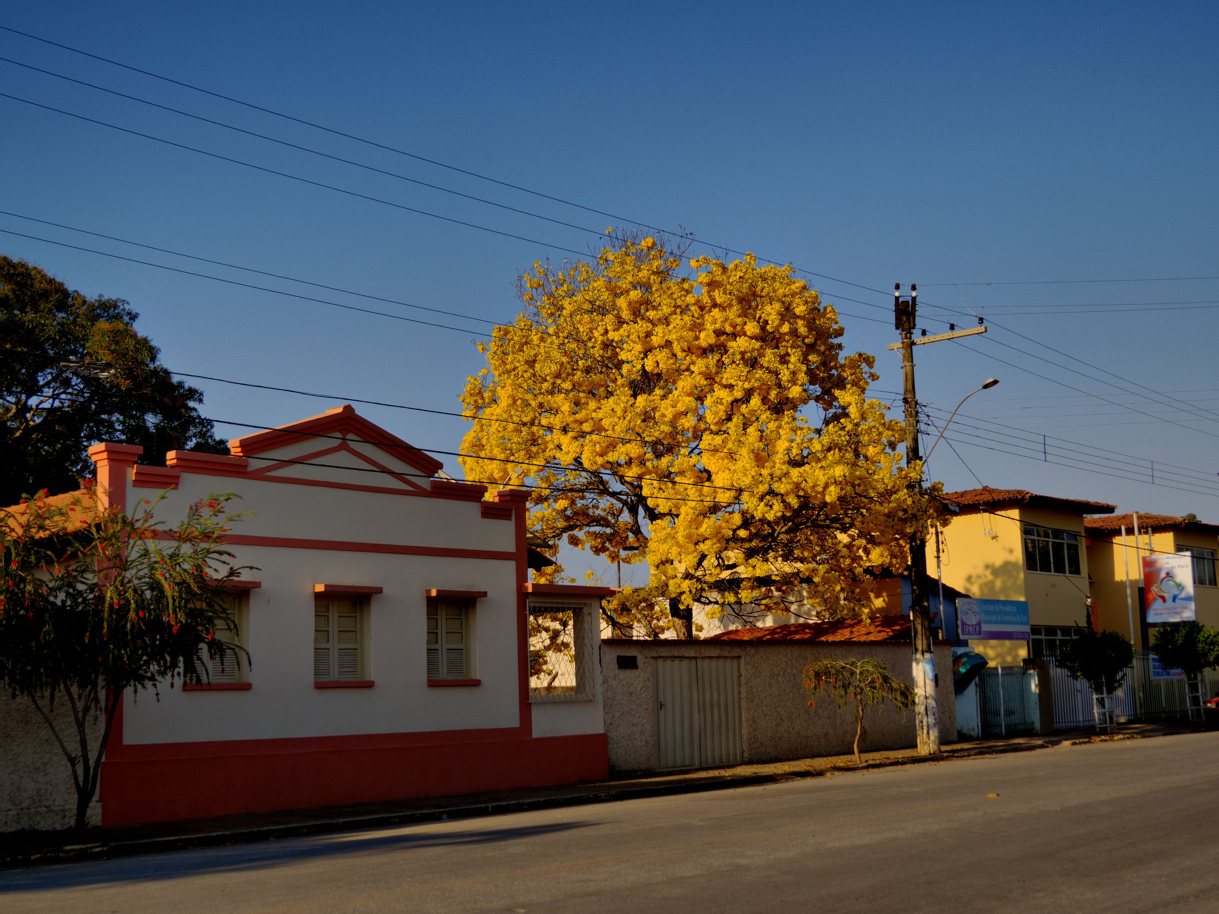 Cartão Postal de Conceição do Pará