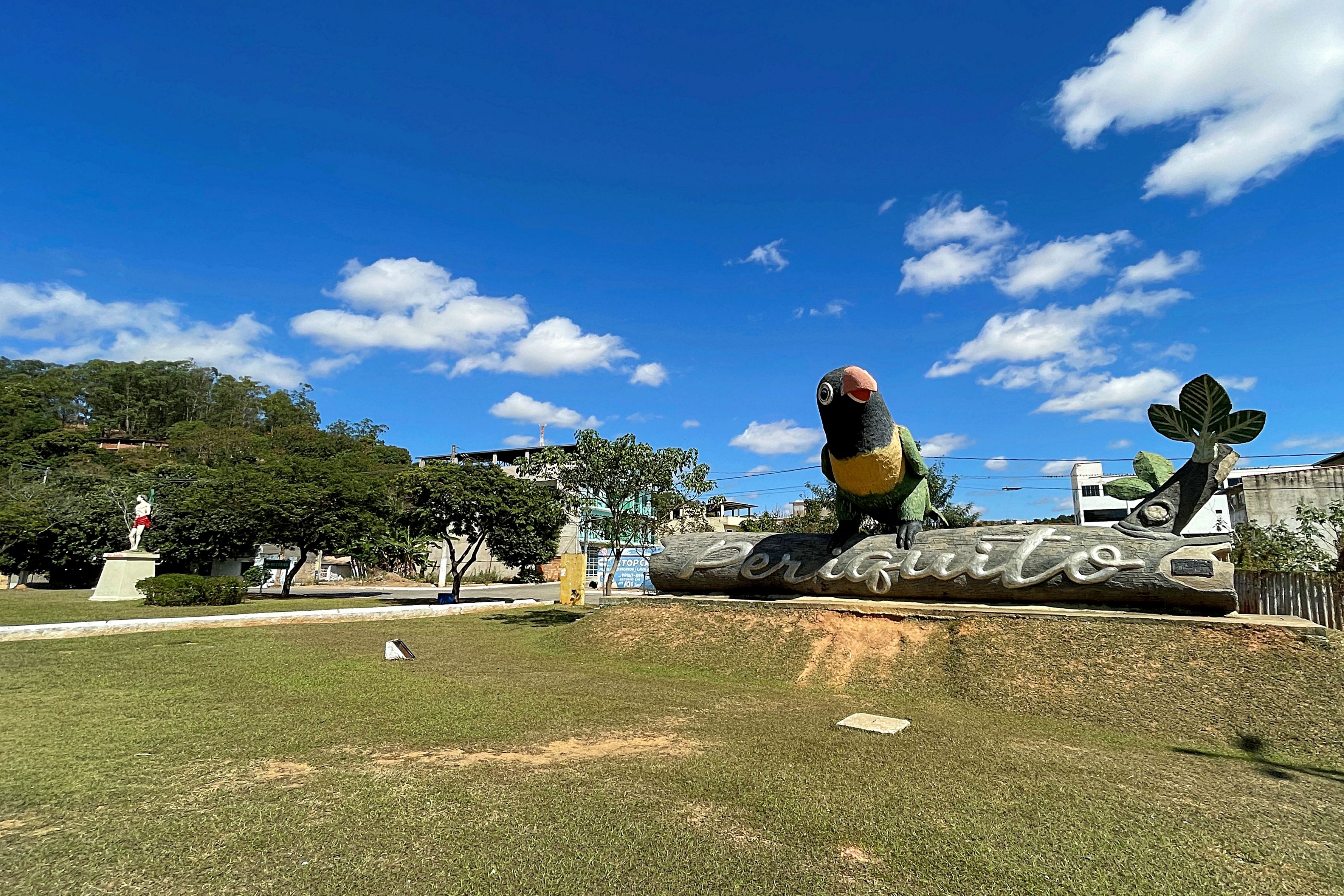 Cartão Postal de Periquito